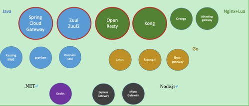 百亿流量微服务网关 架构设计与技术实现之路